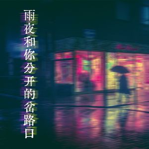 雨夜和你分开的岔路口