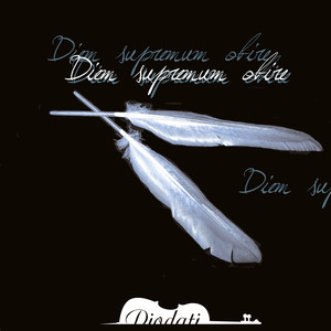 Hinnen fuor der sun ze helle (Der Tod eines Glaubens)