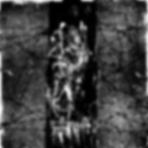 I Committed Suicide By Jumping Off A Building That Was Used For Parkour So At Least People Thought I Died While Being Cool