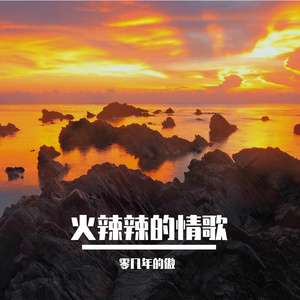 火辣辣的情歌（零几年的傲 remix）