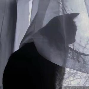 Double ZZZ-人间remix( Prod by Yzz（touch Tyj remix）