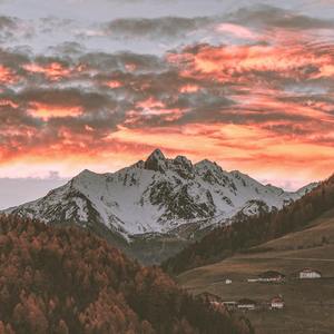 棋棋棋的棋00007