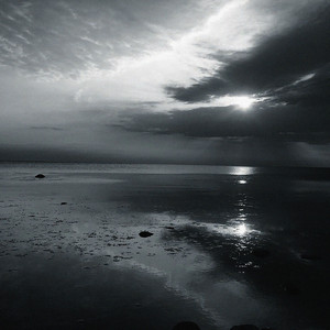 SHE WILL (Instrumental)