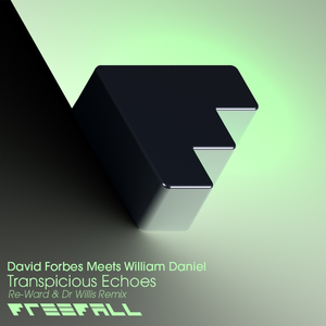 Transpicuous Echoes (Re-Ward & Dr Willis Remix)