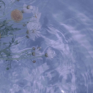 纪念【送给毕业季】