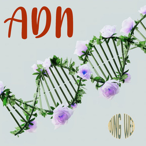 ADN