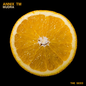 Mudra (Original Mix)