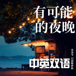 有可能的夜晚（中英双语）