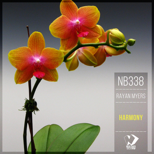 Harmony (Original Mix)