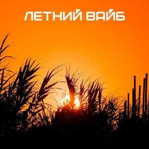 Летний вайб