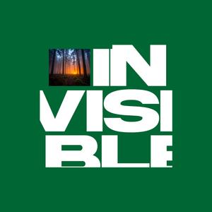 Invisible