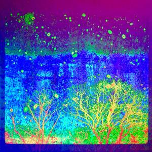 WCID (When Spring has Sprung) (Inst.)