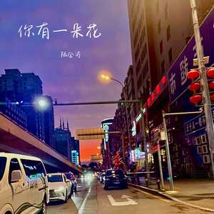 你有一朵花 (人声伴奏版)
