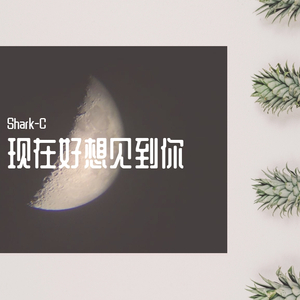 现在好想见到你