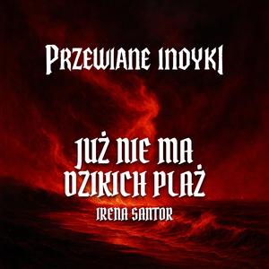 Już nie ma dzikich plaż