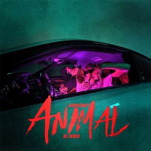 Animal