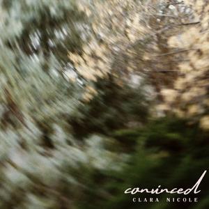 convinced (demo)