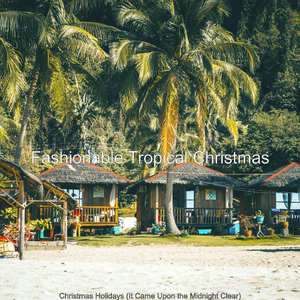 (Silent Night) Tropical Christmas