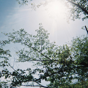 ８月８日にまた会いましょう