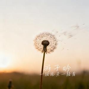 游子吟 (Cover 浅影阿)