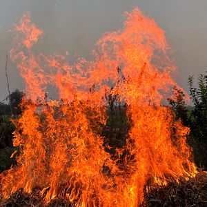 我们不要潦草相爱