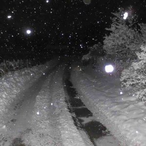 你说想去看北方的冬天