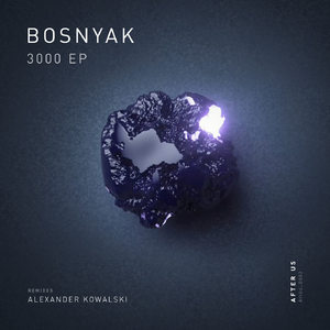 3000 (Alexander Kowalski Remix)