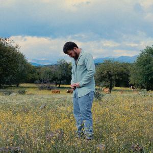 כששוב ניפגש