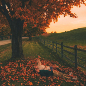 你一句心疼让我想哭