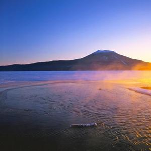 鱼鱼每天都要早睡