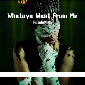 Whataya Want From Me（PandaKING VIP Bootleg）