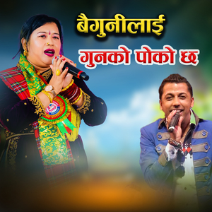 Baigunilai Gunko Poko Chha