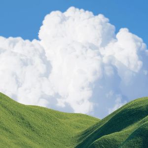 孤独不是没人陪 是心里再没能住进谁