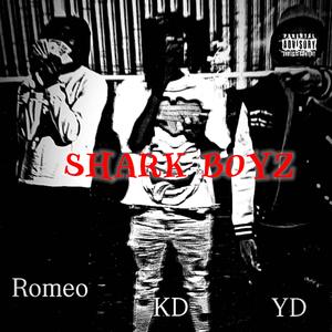 Shark Boyz (feat. Young Romeo & KSG Kaderek) (Shark Attack)