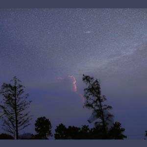 追光者 (翻自 岑宁儿)