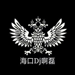 开飞机（海口Dj啊磊 remix）