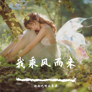 我乘风而来