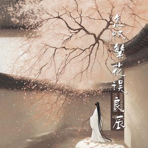 怎叹繁花误良辰