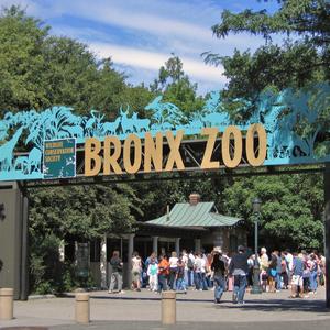 The Bronx.