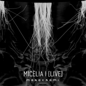 Micèlia I (Live)
