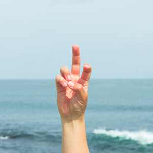 サンクチュアリ