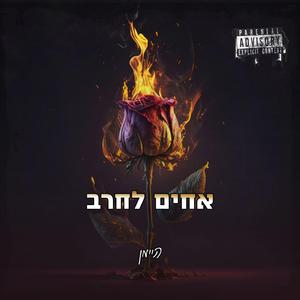 אחים לחרב