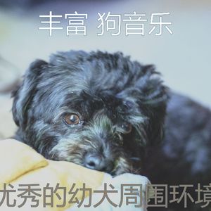 有趣训练犬情怀
