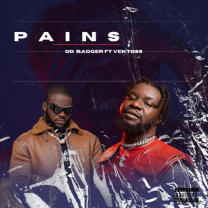 Pains (feat. Vektoss)