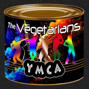 YMCA (Instrumental)