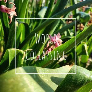 World Collasping