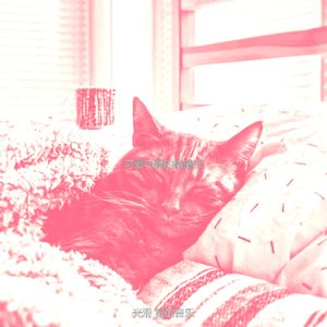 诗意的放松的猫节奏