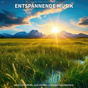 Angenehme Schönheit