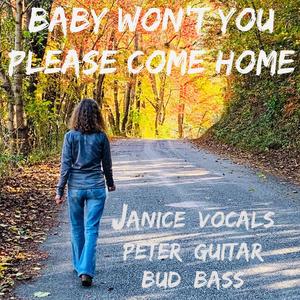 Baby Won't You Please Come Home (feat. Peter Fulham)