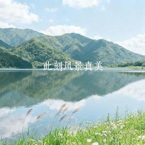 此刻风景真美